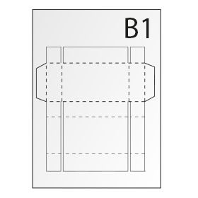Blisterkartons mit individueller Bedruckung - Ausgeschnitten aus dem B1-Format Blisterkartons mit individueller Bedruckung - Ausgeschnitten aus dem B1-Format
