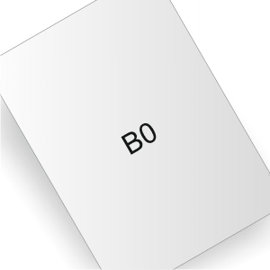 B0-Posterdruck (1000 x 1400)
