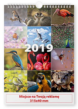 Mehrblattkalender, A3 auf einer Spirale - Vögel