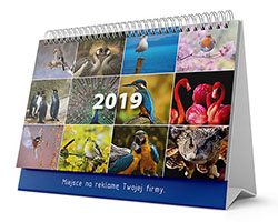 Mehrfeld-Spiralkalender Kalender - Vögel