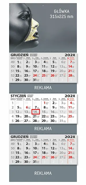 (315x830) - dreiteilig