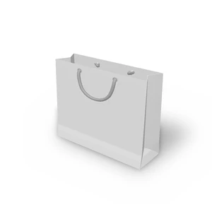 300x240x100 (A111) Laminierte Papiertaschen nach Kundenwunsch bedruckt